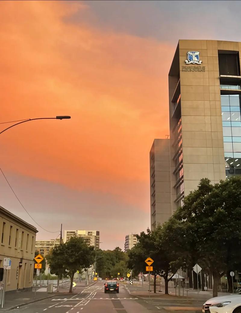 加州大学洛杉矶分校